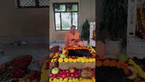 Питри пакша. день 11. часть 2. 17.09.25