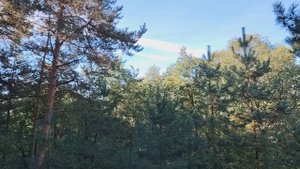 Сможете ли вы стать руководителем в работе по найму в организации?