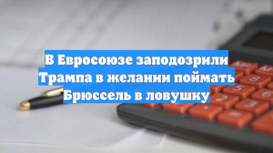 В Евросоюзе заподозрили Трампа в желании поймать Брюссель в ловушку