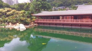 Сад и храм Гонконг