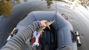 Охота на щуку продолжается , пользуюсь последними тёплыми деньками 🎣 #рыболовтроицк #рыбалка #1