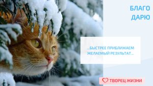 Благодарю за подсказки Вселенной!