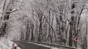 Красивое чтение Корана عبدالله الموسي