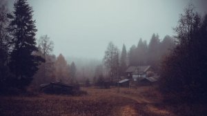 В глухом лесу деревня есть.