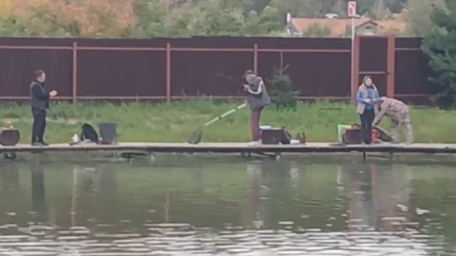 -4004268597614430040