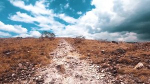 Очень красивое чтение Корана عبدالله الموسي