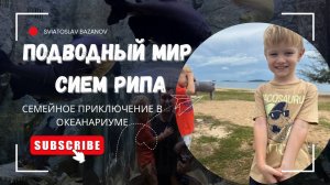 Подводный мир Сием Рипа | Семейное приключение в океанариуме