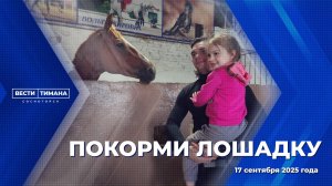 Покорми лошадку