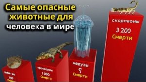 Какие животные убивают больше всего людей каждый год？