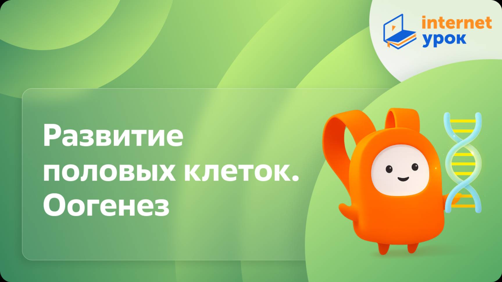 Биология 10 класс. Развитие половых клеток. Оогенез смотреть онлайн