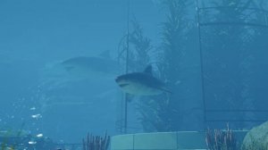 Jurassic World Evolution 3 - Official Megalodon Dinosaur Showcase Trailer
