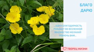 Всё начинается с малого - первого кирпичика!