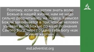 15 сентября 2025. Люби Бога и делай что хочешь. Под сенью благодати | Адвентисты