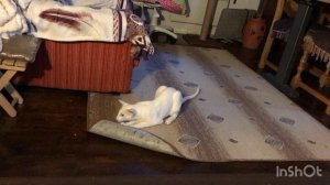 Кто круче..?