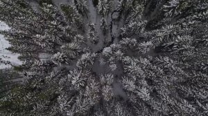 Очень красивое чтение Корана عبدالله الموسي