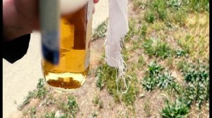 РОЛИК ДИВЕРСИИ 2024