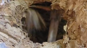 Укрытие при ядерном Апокалипсисе только дверь надо поставить