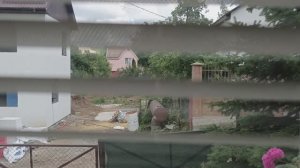 Осматриваю дачу в Мраморном. СНТ МОНОЛИТ. РЯДОМ ЛЕС