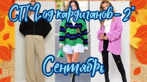 Продвижения по кардигану в сентябре.