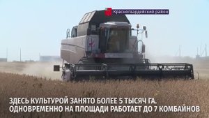 Аграрии региона приступили к уборке поздних культур