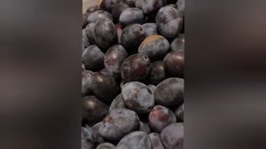Польза чернослива в народной медицине.,