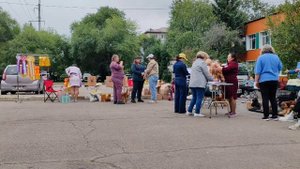 Благовещенск моно Английских кокер спаниелей 14.09.25 сук рыжие Открытый