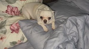 Всем наидобрейшего утречка и чудесного начала дня.