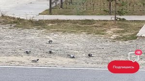 Банда пожаловала !!! 😎