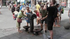 Более 24 тысяч человек умерли от экстремальной жары в Европе этим летом