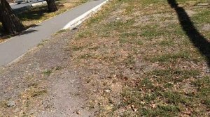 VID_20250917_125701.mp4 Саша Коровин идёт в К*****-Б****