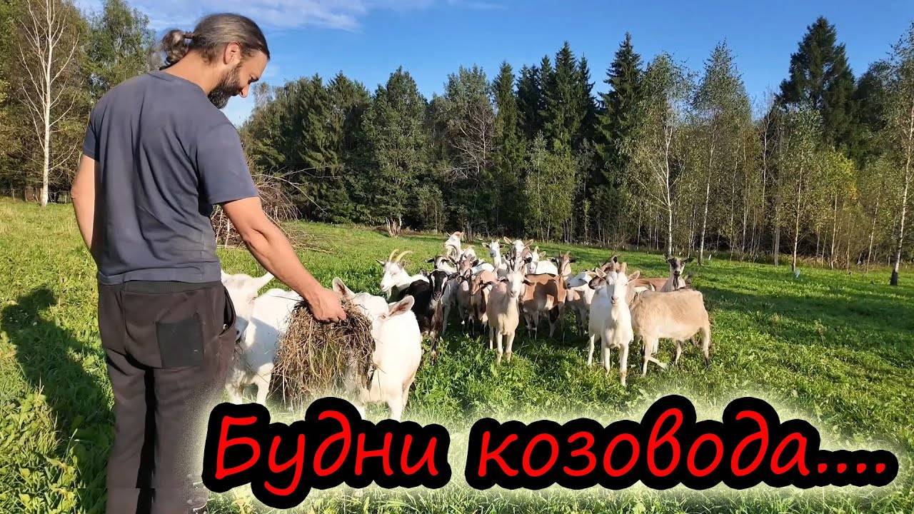 CEМЬЯ В ДЕРЕВНЕ! ХУTОР У КОЗОВОДА ЛЯBOНА!
