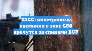 ТАСС: иностранные наемники в зоне СВО прячутся за спинами ВСУ