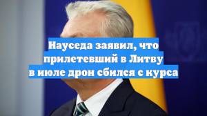 Науседа заявил, что прилетевший в Литву в июле дрон сбился с курса