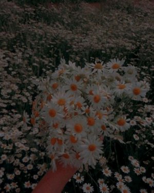 привет ❤️🎀🎀