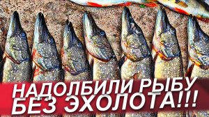 ЩУКА ОСЕНЬЮ НА ВОБЛЕРЫ! ЛОВЛЯ ЩУКИ НА СПИННИНГ В СЕНТЯБРЕ! ЩУКА В  СЕНТЯБРЕ/РЫБАЛКА НА СПИННИНГ 2025