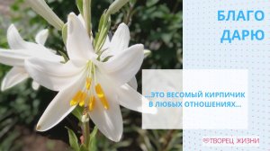 Благодарю за Предназначение и время!