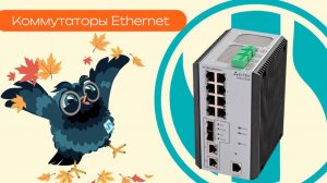 Коммутаторы Ethernet - Олниса