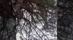 Женский ретрит БЕРЕГИНЯ,  сентябрь 2025