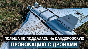 Польша не поддалась на бандеровскую провокацию с дронами