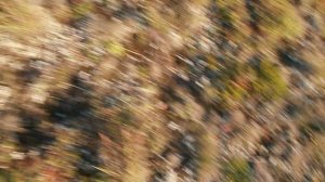 В тундре 04.09.2025 90