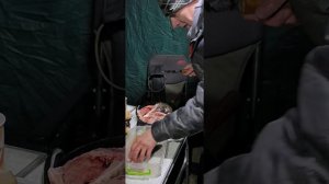 Рыбалка на севере