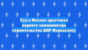 Суд в Москве арестовал первого замминистра строительства ДНР Мерваезову