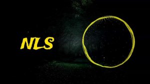 NIKISTAR HØBBIES - Paranoia | Big Room House [2025]