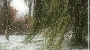 Владимир Мигуля - Наверно выдумали мы.....