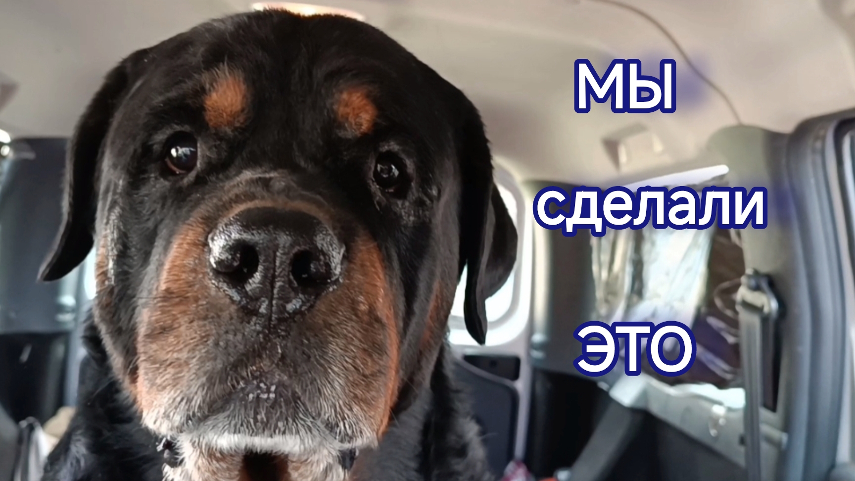 МЫШИ В ПОГРЕБЕ ПИРУЮТ. ТРИ ДНЯ КОЧЕВАЛИ ПЕНЬ. ЧТО-ТО С КАРТОШКОЙ.