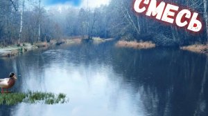 Будни сентябрь