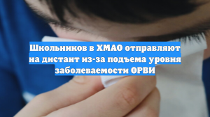 Школьников в ХМАО отправляют на дистант из-за подъема уровня заболеваемости ОРВИ