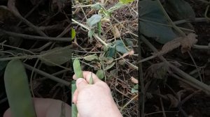 VID_20250917_170655.mp4