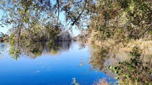 Осень. Димитровград, Ульяновск