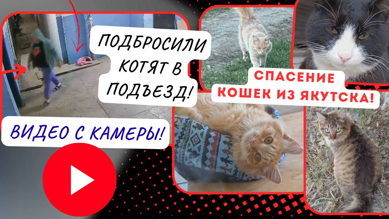 Спасение продолжается…